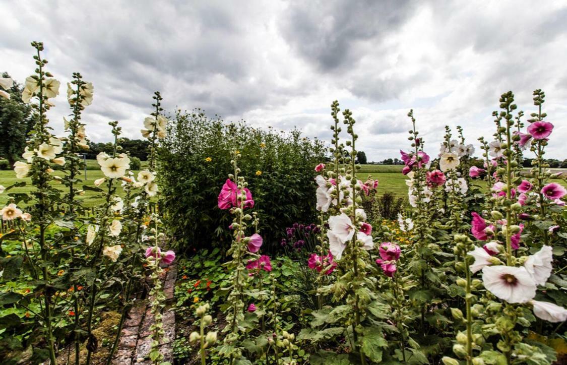 Holwierde B&B Oldenbosch المظهر الخارجي الصورة